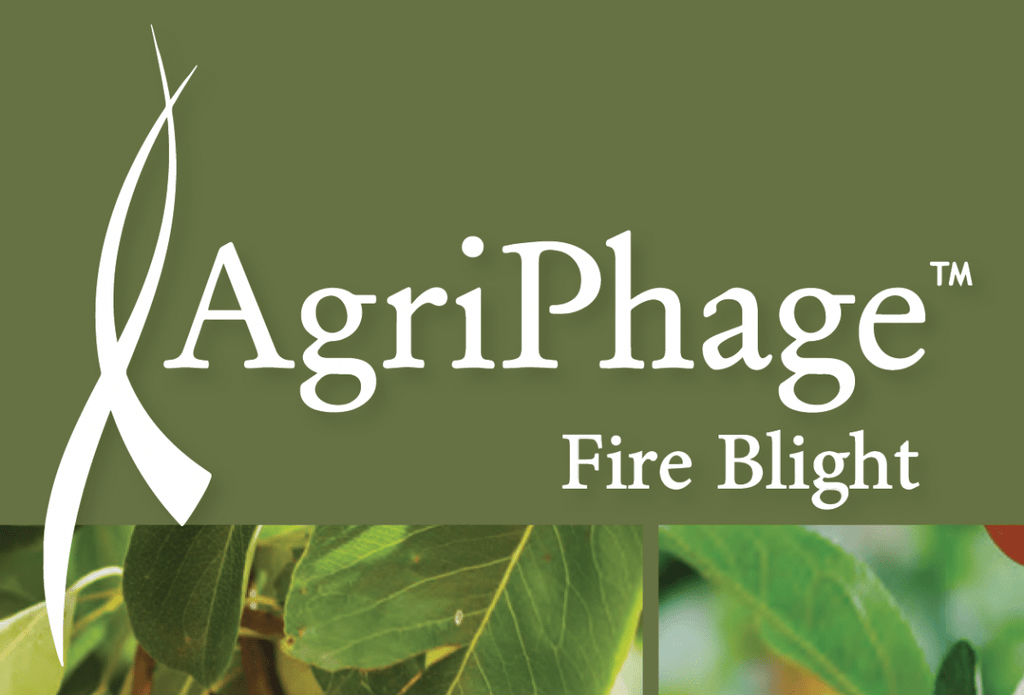 https://cdn.shopify.com/s/files/1/0559/1256/2893/products/agriphage-fireblight-1-quart-3460095.png?v=1762284619