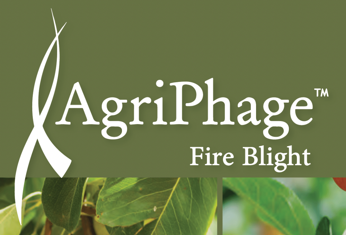 https://cdn.shopify.com/s/files/1/0559/1256/2893/products/agriphage-fireblight-1-quart-3460095.png?v=1762284619