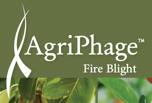 https://cdn.shopify.com/s/files/1/0559/1256/2893/products/agriphage-fireblight-1-quart-3460095.png?v=1762284619