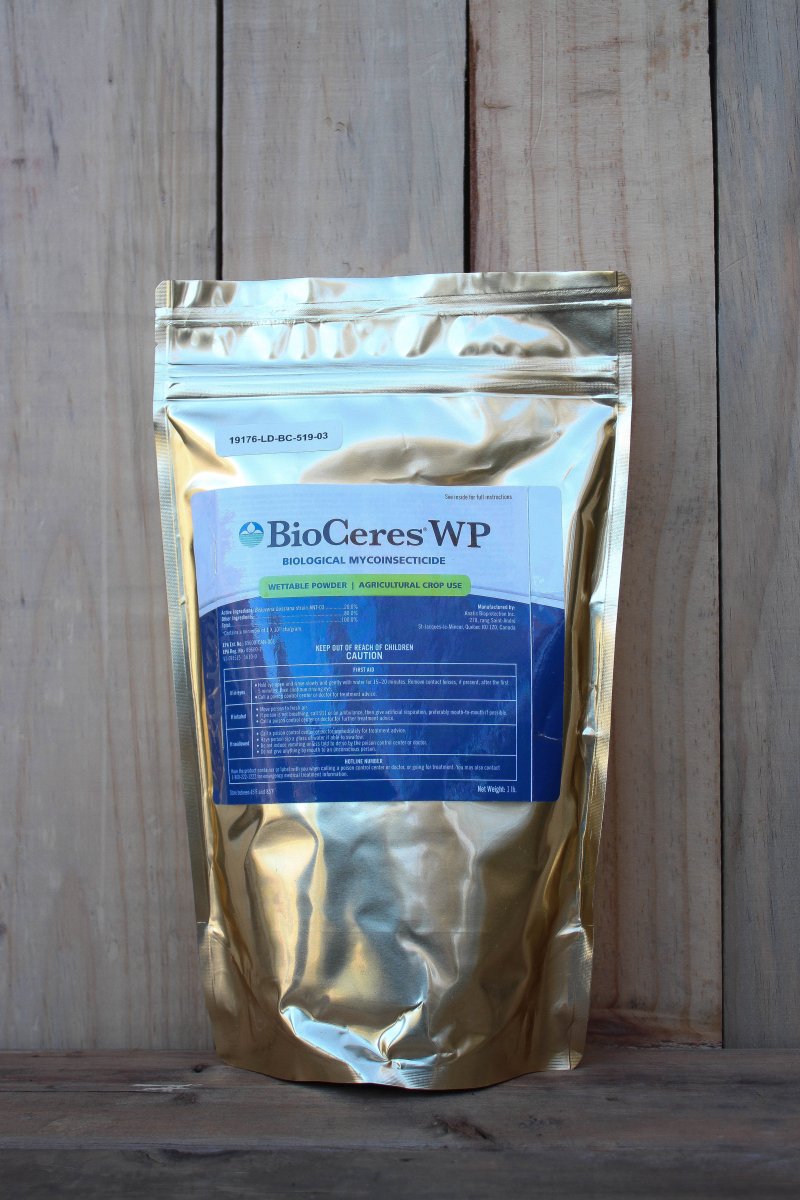 https://cdn.shopify.com/s/files/1/0559/1256/2893/products/bioceres-wp-biological-myco-insecticide-1-lb-bag-3128971.jpg?v=1762284895